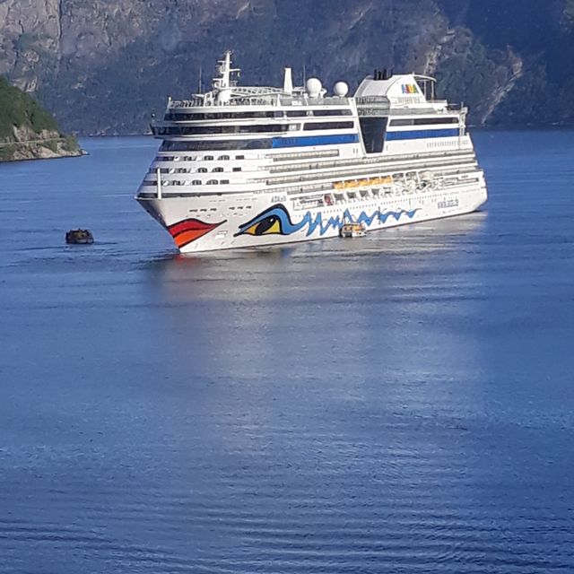 AIDA