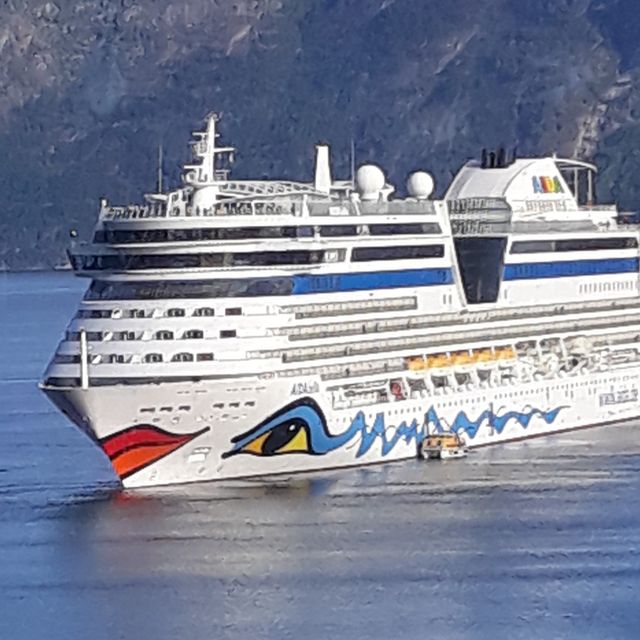 AIDA